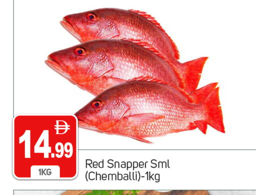 available at سوق طلال in الإمارات العربية المتحدة , الامارات - دبي