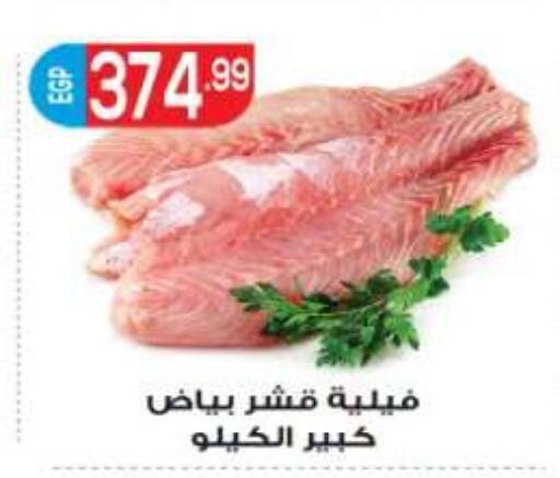 available at أولاد المحاوى in Egypt - القاهرة