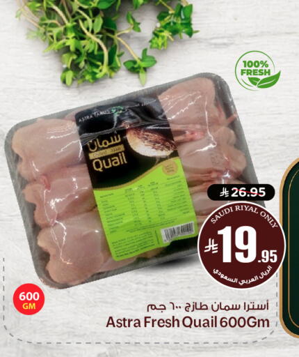 available at نستو in مملكة العربية السعودية, السعودية, سعودية - الخرج