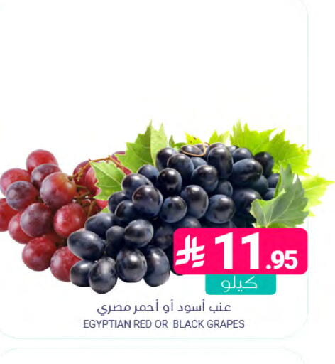 Grapes from Egypt available at Muntazah Markets in KSA, Saudi Arabia, Saudi - Saihat