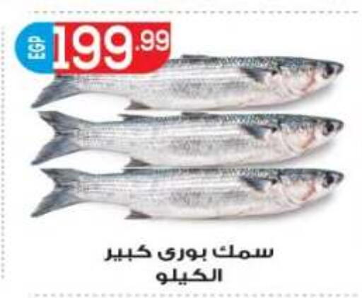 available at أولاد المحاوى in Egypt - القاهرة