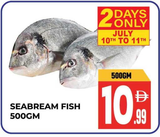 available at Dream Land in UAE - Sharjah / Ajman