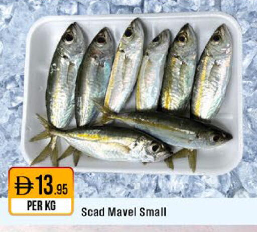 available at ويست زون سوبرماركت in الإمارات العربية المتحدة , الامارات - دبي