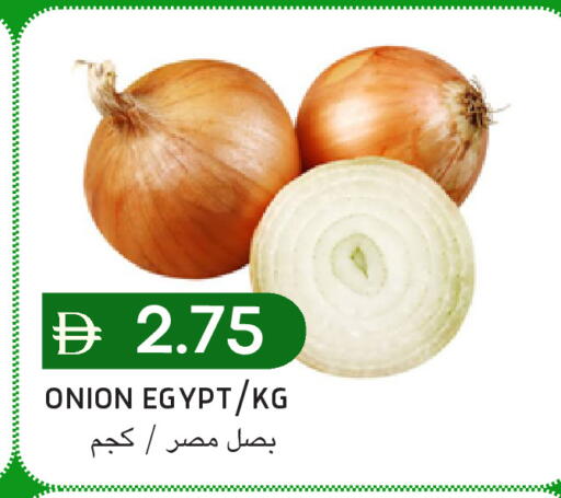 Onion from Egypt available at سيليكت ماركت in الإمارات العربية المتحدة , الامارات - أبو ظبي