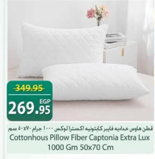 available at سبينس in Egypt - القاهرة