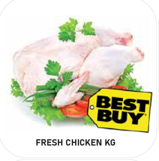 available at سنابل بني ياس in الإمارات العربية المتحدة , الامارات - أم القيوين‎