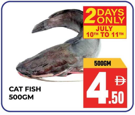 available at Dream Land in UAE - Sharjah / Ajman