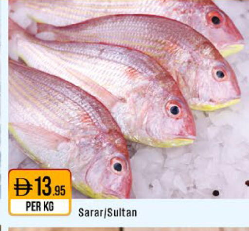 available at ويست زون سوبرماركت in الإمارات العربية المتحدة , الامارات - أبو ظبي