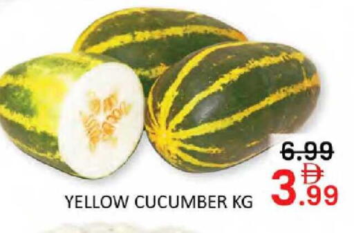Cucumber available at Al Madina  in UAE - Dubai