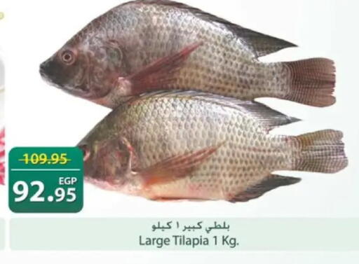 available at سبينس in Egypt - القاهرة