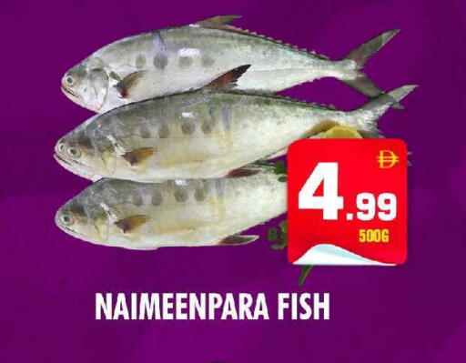 available at نايت تو نايت in الإمارات العربية المتحدة , الامارات - الشارقة / عجمان