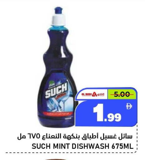 Mint available at النادي هايبرماركت in الإمارات العربية المتحدة , الامارات - الشارقة / عجمان