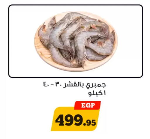 available at Awlad Ragab in Egypt - Cairo