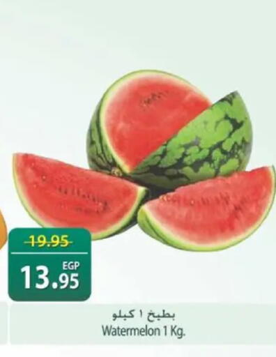 Watermelon available at سبينس in Egypt - القاهرة