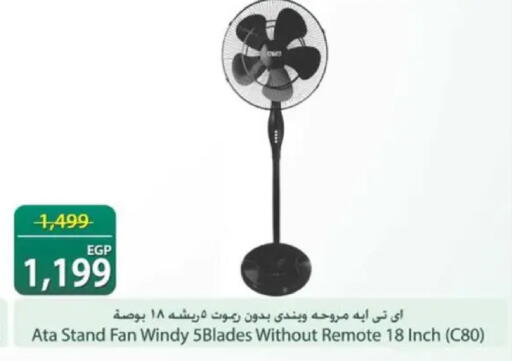 available at سبينس in Egypt - القاهرة