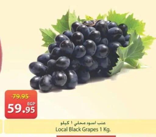 Grapes available at سبينس in Egypt - القاهرة