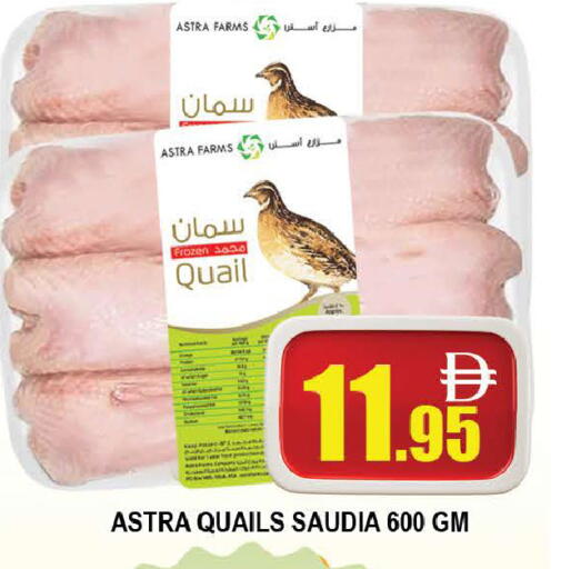 available at AL MADINA (Dubai) in UAE - Dubai