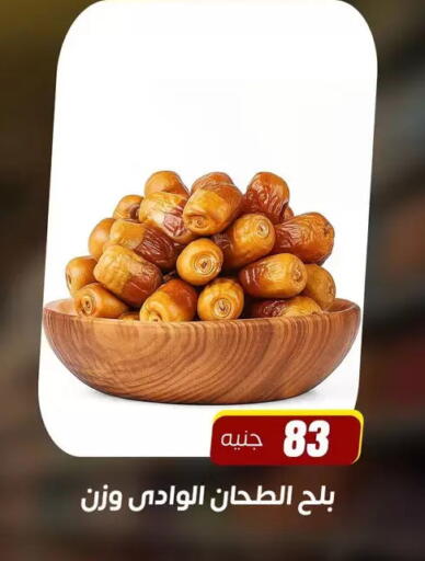 available at سوق غلاب in Egypt - القاهرة