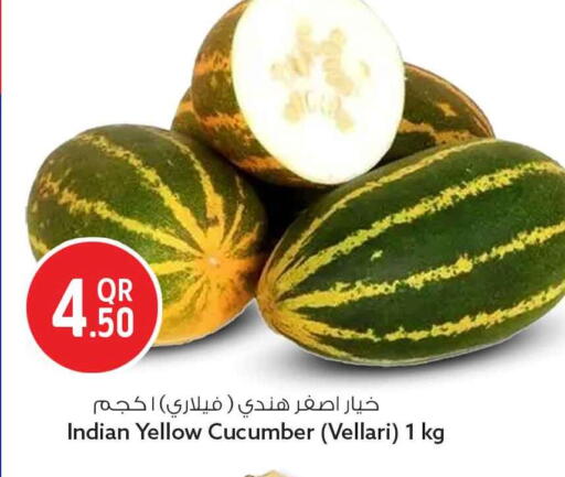 Cucumber from India available at Safari Hypermarket in Qatar - Al Daayen