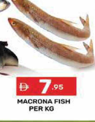 available at Dream Night hypermarket in UAE - Dubai
