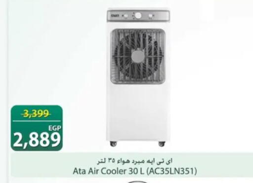 available at سبينس in Egypt - القاهرة