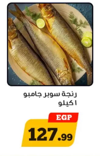 available at Awlad Ragab in Egypt - Cairo