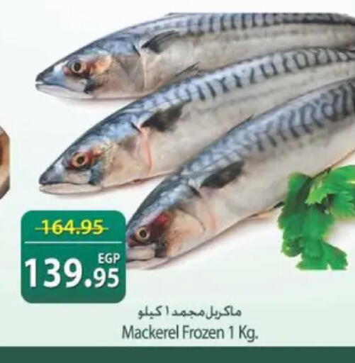available at سبينس in Egypt - القاهرة