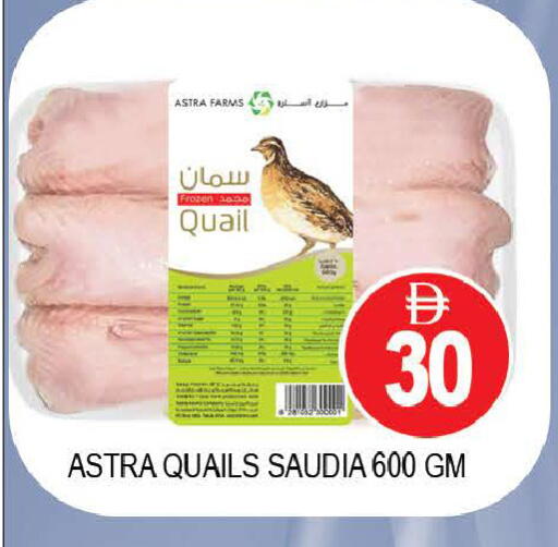 available at AL MADINA (Dubai) in UAE - Dubai