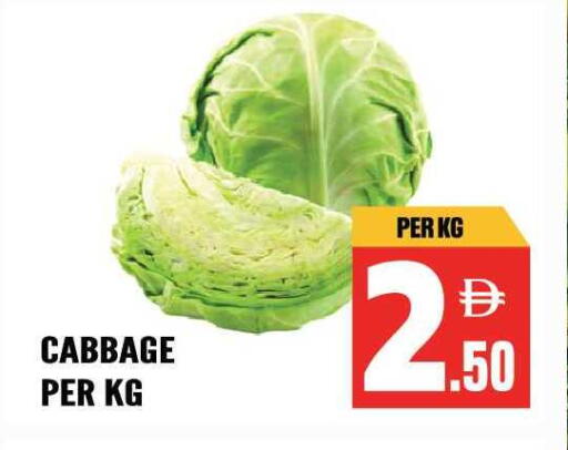 Cabbage available at Dream Land in UAE - Sharjah / Ajman