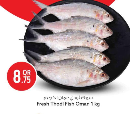 available at سفاري هايبر ماركت in قطر - الوكرة