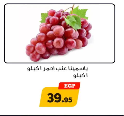 available at Awlad Ragab in Egypt - Cairo