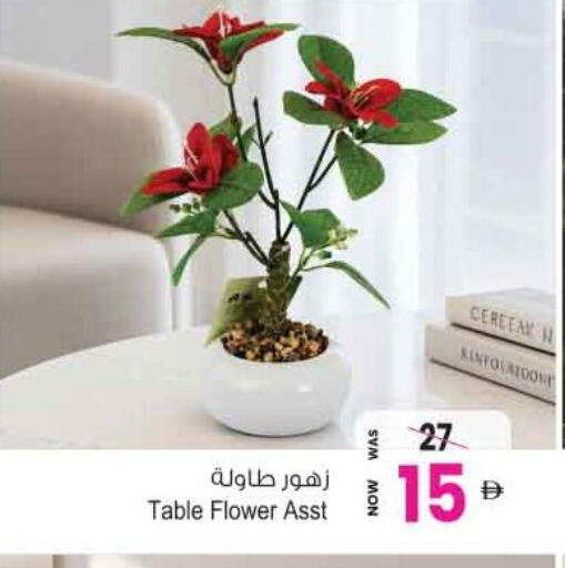 available at أنصار مول in الإمارات العربية المتحدة , الامارات - الشارقة / عجمان