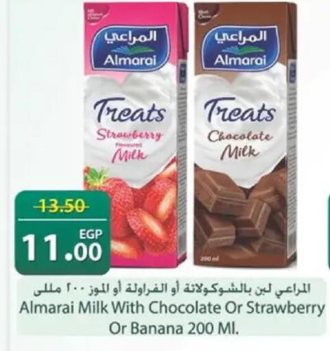 Strawberry Banana available at Spinneys  in Egypt - Cairo