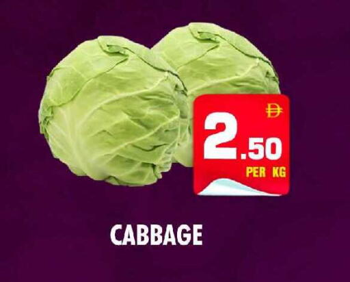 Cabbage available at نايت تو نايت in الإمارات العربية المتحدة , الامارات - الشارقة / عجمان