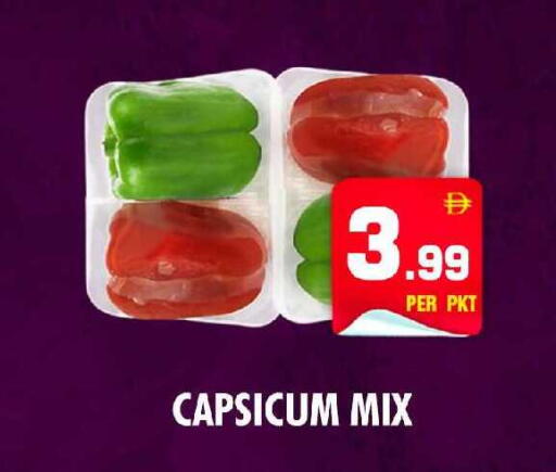 Capsicum available at نايت تو نايت in الإمارات العربية المتحدة , الامارات - الشارقة / عجمان