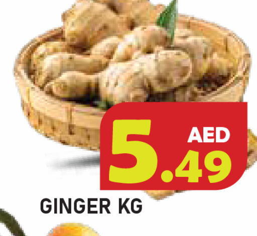 Ginger available at سنابل بني ياس in الإمارات العربية المتحدة , الامارات - أم القيوين‎