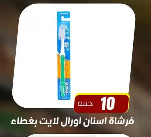 available at Ghallab Market in Egypt - Cairo