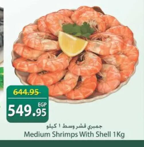 available at سبينس in Egypt - القاهرة