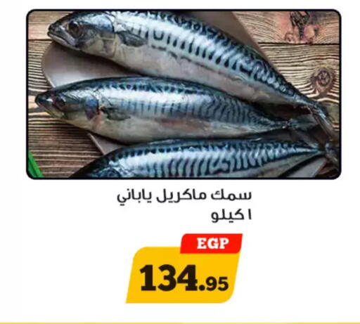 available at Awlad Ragab in Egypt - Cairo
