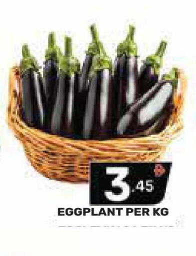 Eggplant available at Dream Night hypermarket in UAE - Dubai