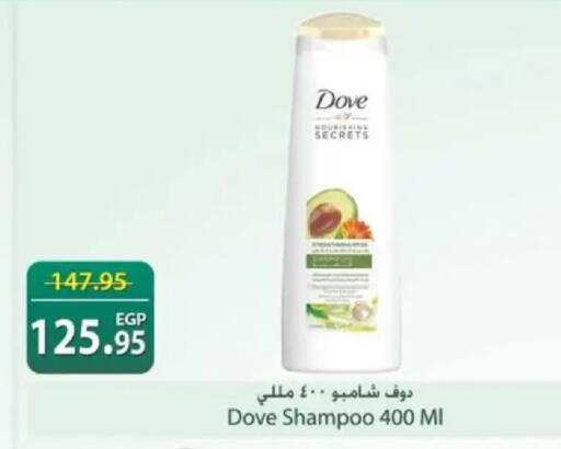 available at سبينس in Egypt - القاهرة