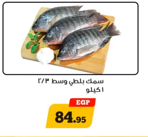 available at Awlad Ragab in Egypt - Cairo