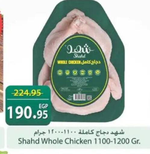 available at سبينس in Egypt - القاهرة