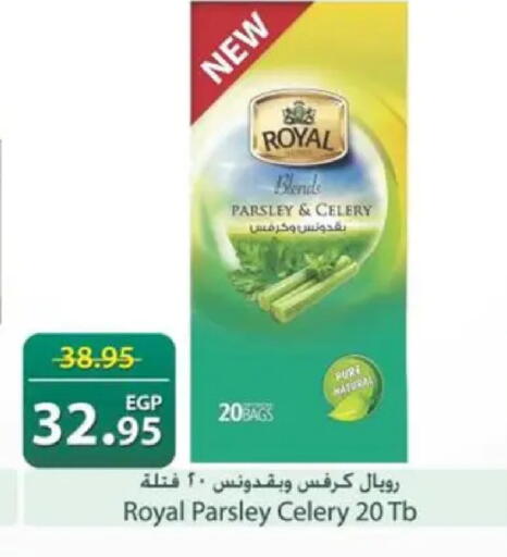 Parsley Celery available at سبينس in Egypt - القاهرة