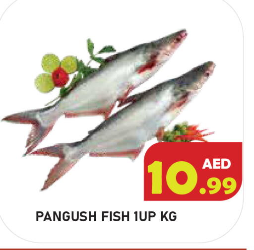 available at Baniyas Spike  in UAE - Umm al Quwain