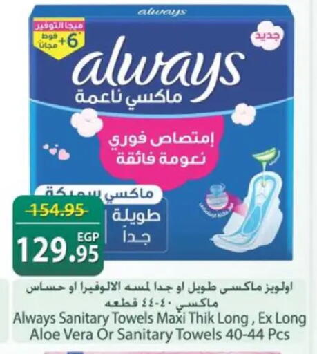 available at سبينس in Egypt - القاهرة
