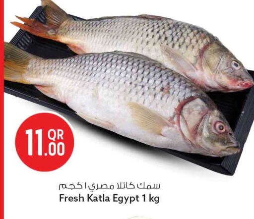 available at سفاري هايبر ماركت in قطر - الوكرة