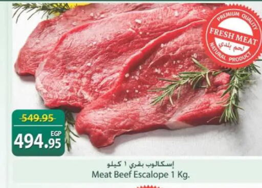 available at سبينس in Egypt - القاهرة