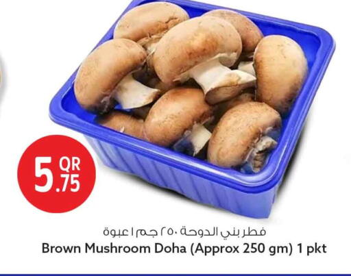Mushroom from Qatar available at Safari Hypermarket in Qatar - Al Daayen