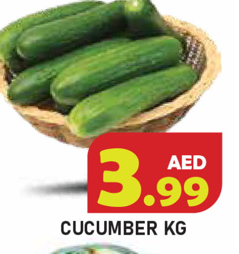 Cucumber available at سنابل بني ياس in الإمارات العربية المتحدة , الامارات - أم القيوين‎